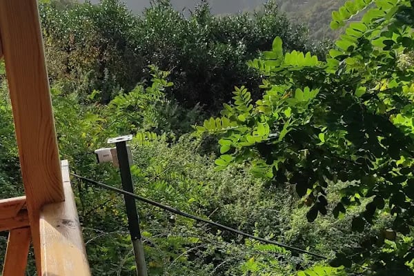 Doğanın Kalbi Dağ Evleri - Resim 12