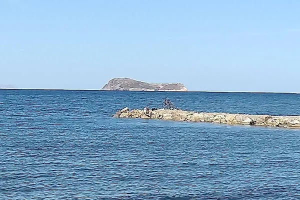 AVTA Tatil Köyü Iskelesi - Resim 10