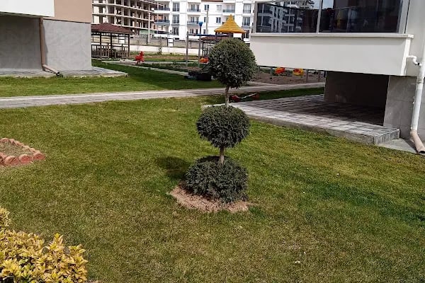 Cuma Semt Pazarı - Resim 13