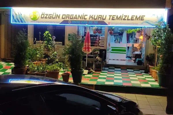 Özgün Organik Kuru Temizleme - Resim 5