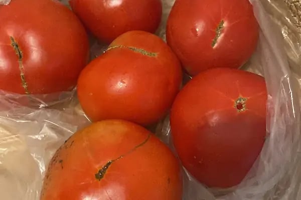 Biçen Market Avcılar 3 Şube - Resim 9