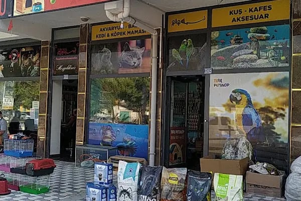 TIFIL PETSHOP - Resim 5