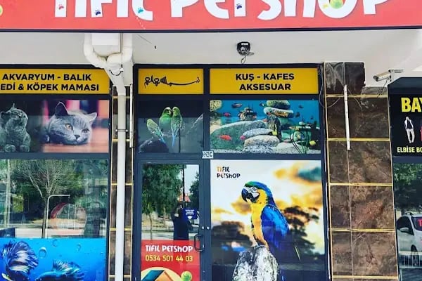 TIFIL PETSHOP - Resim 9