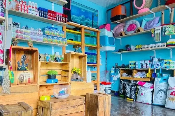 TIFIL PETSHOP - Resim 2