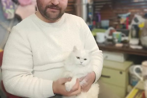TIFIL PETSHOP - Resim 19
