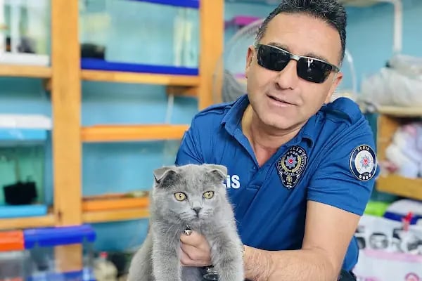 TIFIL PETSHOP - Resim 10