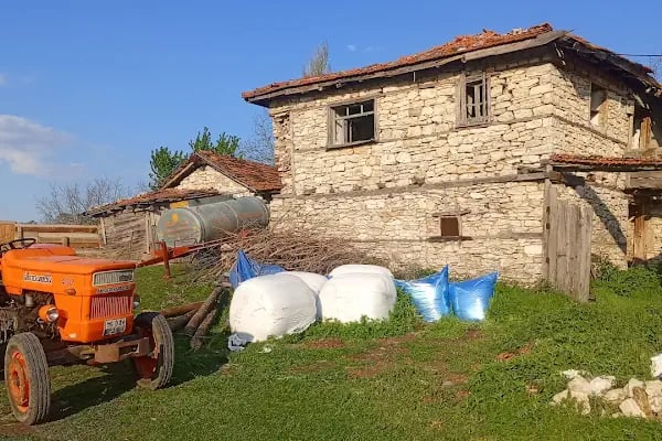 Akalan Mh.muhtarlığı - Resim 2