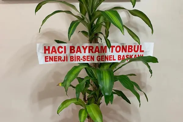 İdeal Çiçek Sepeti Ankara - Resim 13