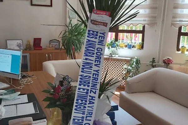İdeal Çiçek Sepeti Ankara - Resim 4