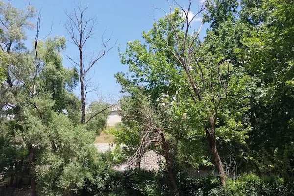 Misi Derepark - Resim 20