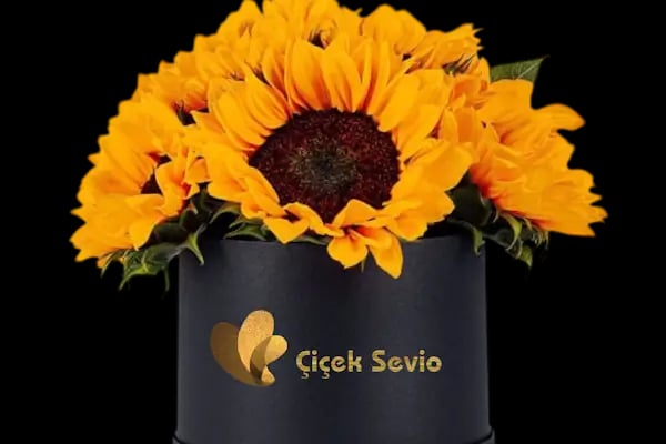 Çiçek Sevio - Resim 5