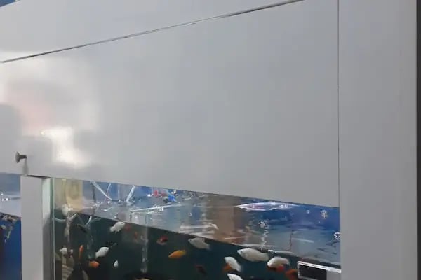 Pet Shop Marketim - Kocaeli ve İzmit Akvaryum Mağazası - Resim 9