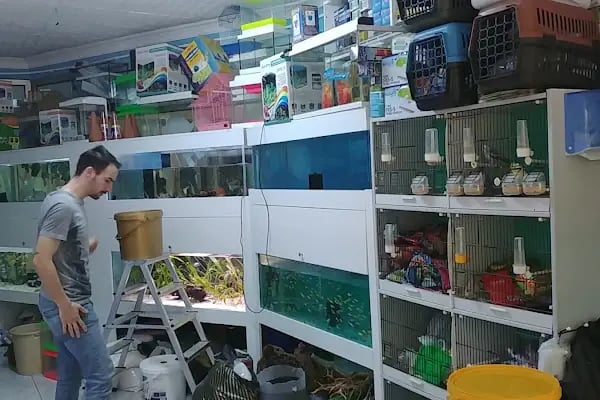 Pet Shop Marketim - Kocaeli ve İzmit Akvaryum Mağazası - Resim 10