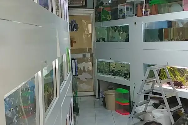 Pet Shop Marketim - Kocaeli ve İzmit Akvaryum Mağazası - Resim 4