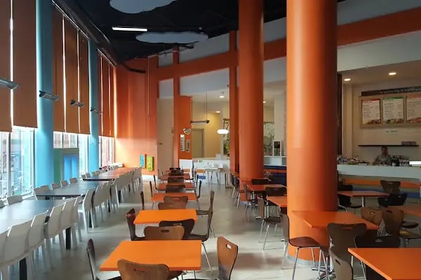 BaBaLu Aktif Eğlence Parkı - Resim 15