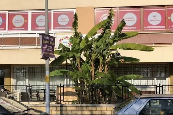 Ataşehir Dünya Danışmanlık ve Psikoloji Merkezi | Ataşehir Psikolog - Resim 7