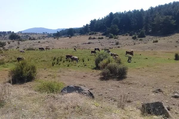 ANKARA KAMP KARAVAN KLUBU - Resim 20