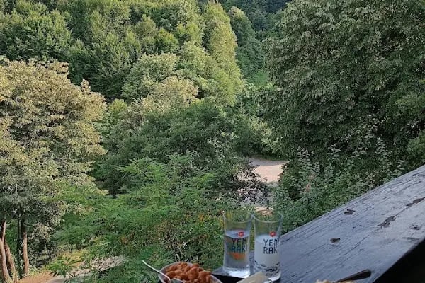 Kulindağ Dağ Evi - Resim 20
