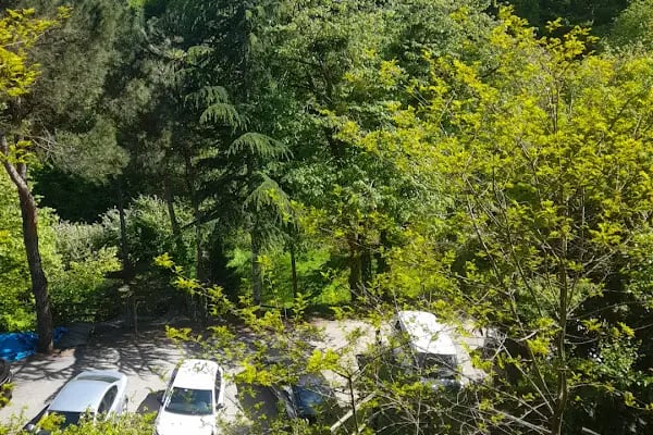 Kulindağ Dağ Evi - Resim 19