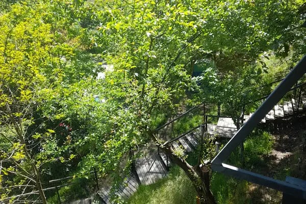 Kulindağ Dağ Evi - Resim 4