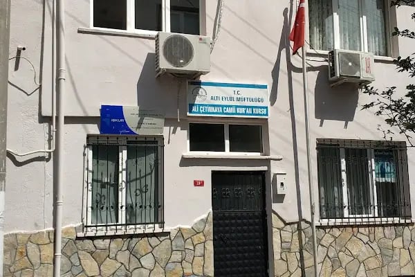 Gazi Ali Çetinkaya Cami - Resim 7