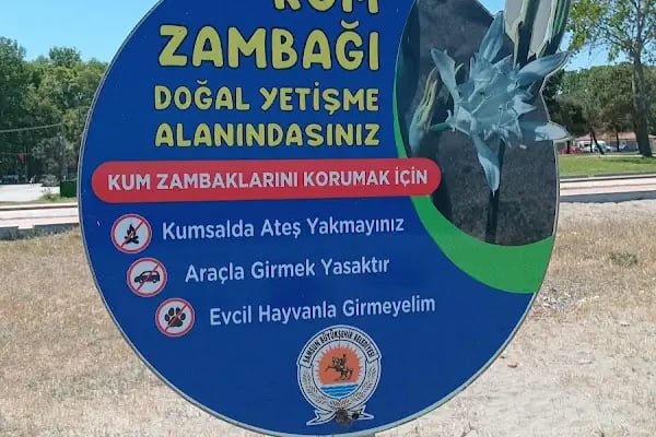 Geyikkoşan Plajı - Resim 4