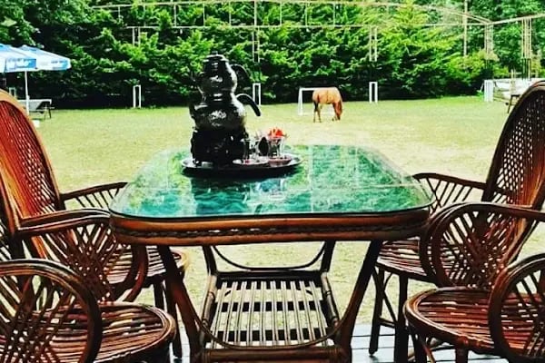 Golcayir Park Restorant At çiftliği paintball ve Atv turları - Resim 18