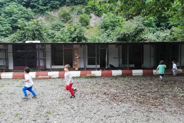 Golcayir Park Restorant At çiftliği paintball ve Atv turları - Resim 12