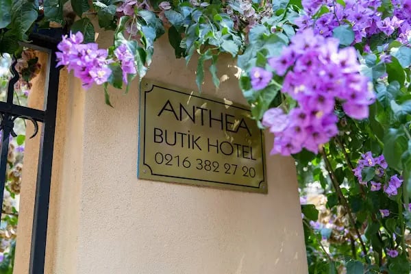 ANTHEA - Resim 4
