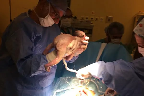 Op. Dr. Hakan Bayraktar MD, Mr.Sci.PHD - Resim 10