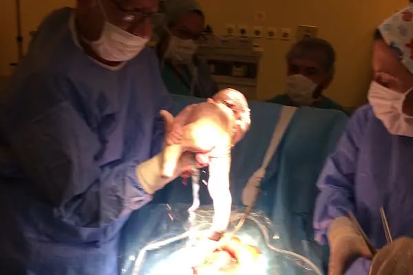 Op. Dr. Hakan Bayraktar MD, Mr.Sci.PHD - Resim 18