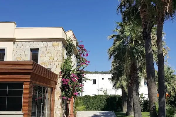 Meyflower Organizasyon &amp; Catering - Bodrum Hediyelik Lezzet Çicekleri - Resim 5