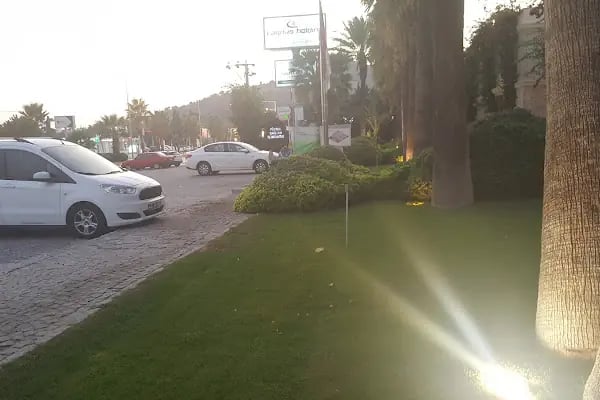 Meyflower Organizasyon &amp; Catering - Bodrum Hediyelik Lezzet Çicekleri - Resim 19