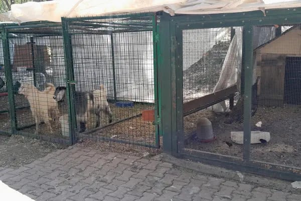 Akçadağ Belediyesi - Resim 3