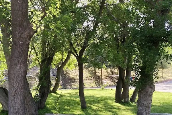 Akçadağ Belediyesi - Resim 10