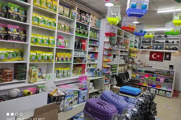 Sincan Çağrı petshop - Resim 13