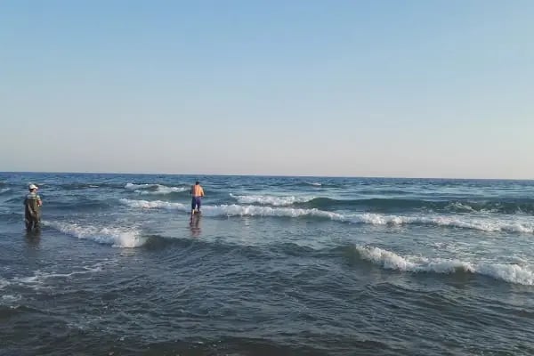 Sarigerme Gunubirlik Piknik Alani Kamping - Resim 2