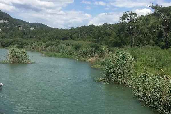 Sarigerme Gunubirlik Piknik Alani Kamping - Resim 19
