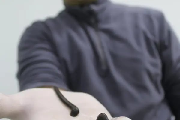 Gökdere Hamam &amp; Spa &amp; Fitness ve Yüzme Havuzu - Resim 19