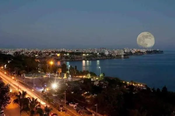 BİM MARKET FİNİKE MAĞAZASI - Resim 2