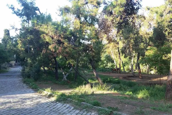 Aşiyan Butik Hotel - Resim 7
