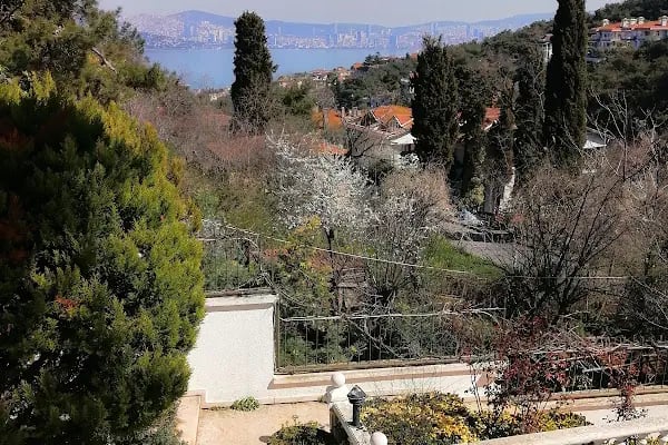 Aşiyan Butik Hotel - Resim 5