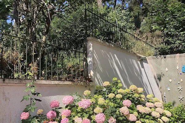 Aşiyan Butik Hotel - Resim 14