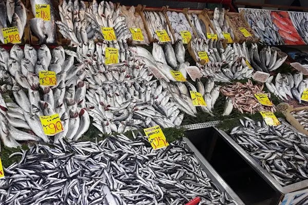 Karadeniz balikcilik - Resim 5