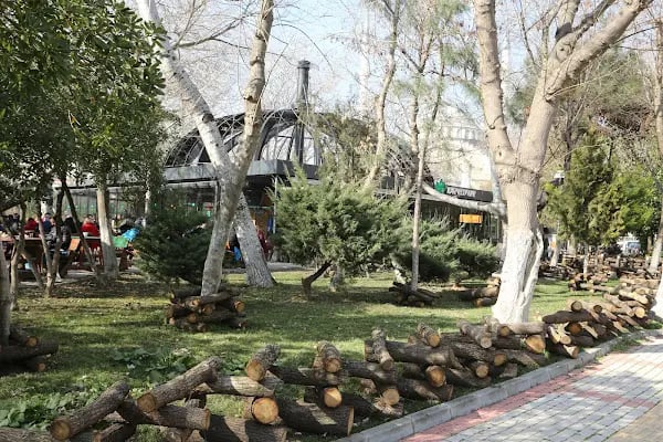 Karadeniz balikcilik - Resim 10