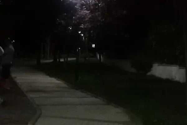 Selçuk Adalı Parkı - Resim 20