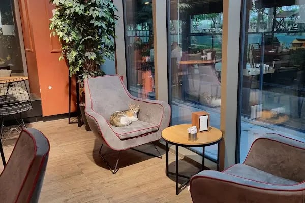 BHT CLINIC İstanbul Tema Hastanesi - Resim 19