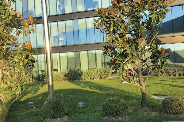 BHT CLINIC İstanbul Tema Hastanesi - Resim 15