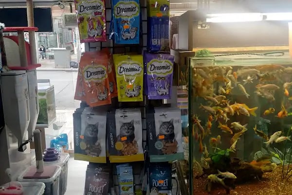 SARAY PETSHOP AKVARYUM VE KUŞ GALERİSİ - Resim 9