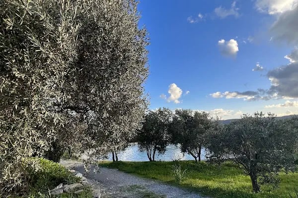Üzüm Kızı Beach &amp; Hotel - Resim 16